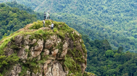 Peermade,,Kerala,-,June,11,2022:,Scenic,Paruthumpara,(eagle,Rock)