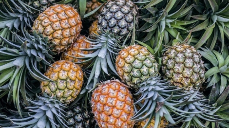 Taiwan Pineapple ban