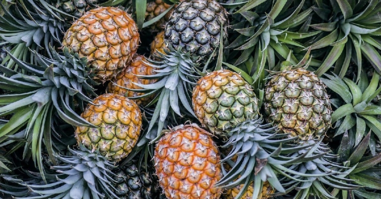 Taiwan Pineapple ban