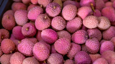 Lychee.,Litchi,Chinensis.,Pink,Food,Background,,Selective,Focus.,Ripe,Lychees.