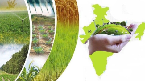 National Mission On Bio-Economy (1)