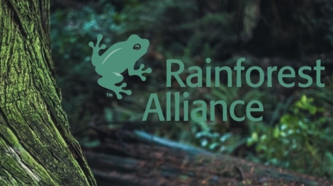 Rainforest Alliance