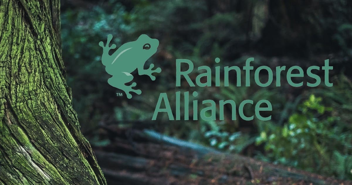 Rainforest Alliance - JYOTHIK