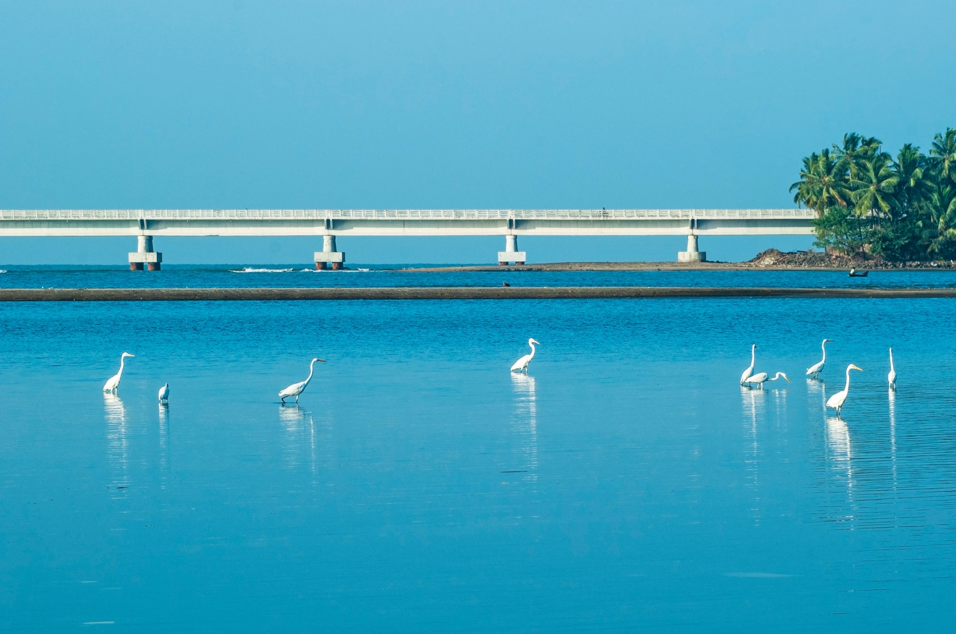 Kadalundi – Vallikkunnu Tourism